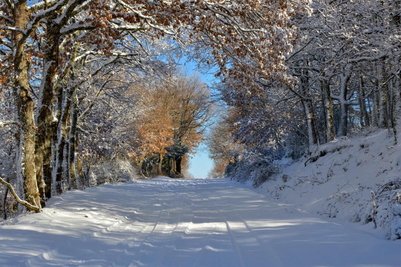 B&B La Genziana Fonni Bagian luar foto