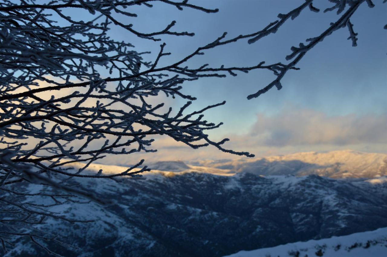 B&B La Genziana Fonni Bagian luar foto
